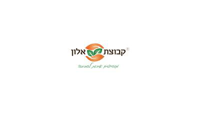 קבוצת אלון